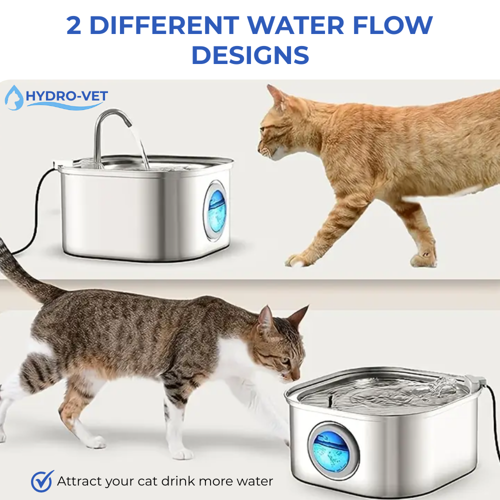 HydroVet™ - Vet-Grade Whisper-Quiet Hydration Technology